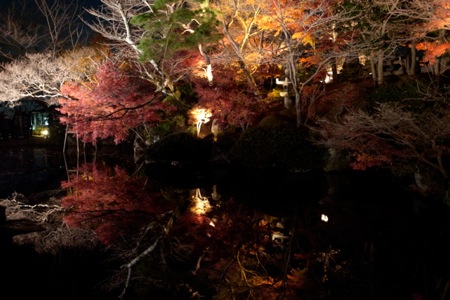 京都の夜の写真